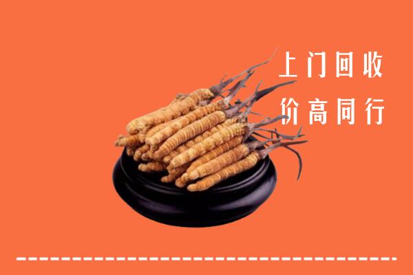包头昆都仑区回收散虫草