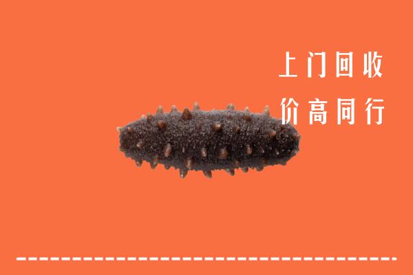 包头昆都仑区回收海参