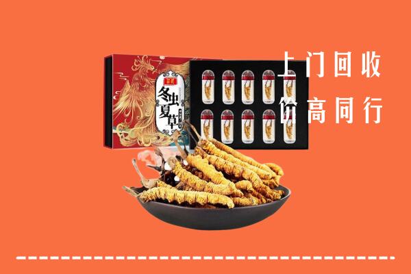 包头昆都仑区回收虫草